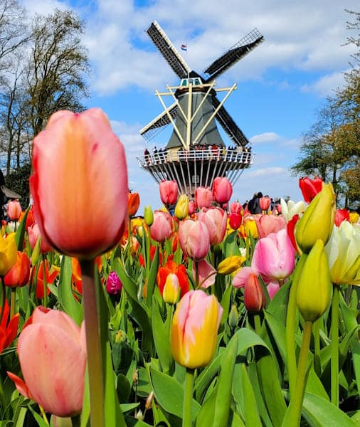 bilhete keukenhof ()